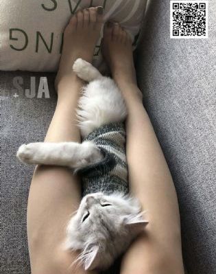 久久tv