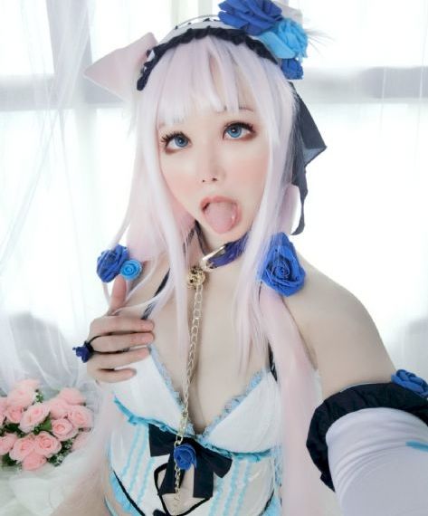 杀狼花电视剧全集免费播放