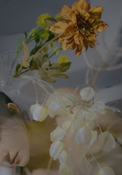 不灭神王动漫免费观看