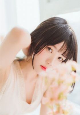 免费理论