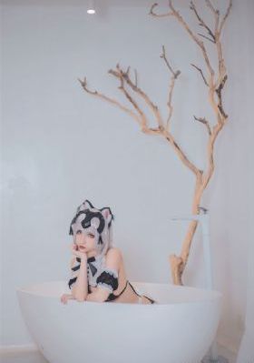 在线观看播放理论片