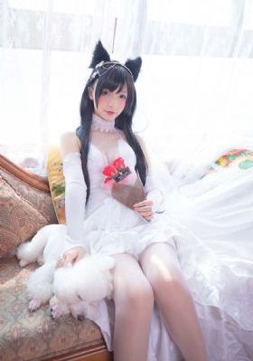 天使与恶魔免费观看动漫