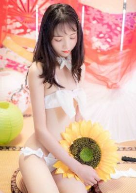 飞虎神鹰1-42集免费观看谍战片
